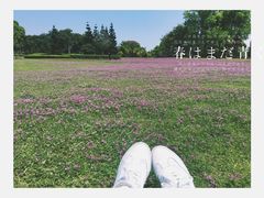 -福建鲤鱼洲酒店