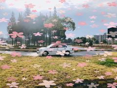 -小昆山驾校·基地自营(松江大学城实体店)