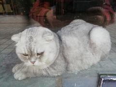 -无味饭店(九眼桥商业文化广场店)