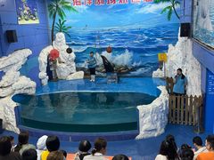 -左海海底世界