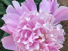 -幕燕滨江·长江观音景区