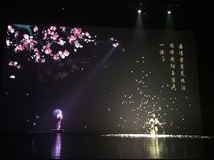-合肥大剧院