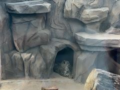 -青藏高原野生动物园