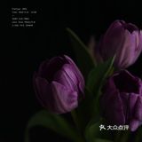 今日份花事 · 关于花的原图