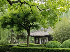 -团结湖公园