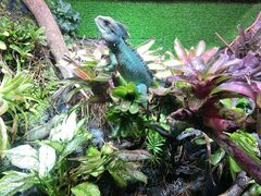 -上海海洋水族馆