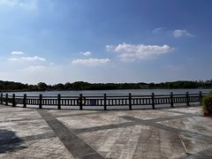 -上海都市菜园