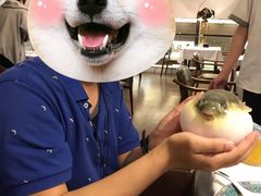 -肆月河豚·新淮扬(金融街店)