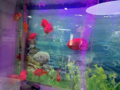 -雅悦齿科(顾村公园店)