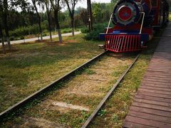 -永定河休闲森林公园