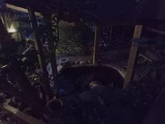 -云涛森林温泉