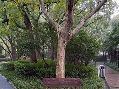 -徐家汇源景区-衡山公园