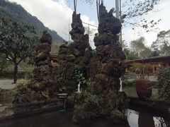-源泉冷水鱼庄(小鱼洞店)