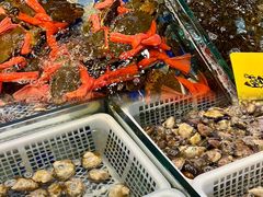 -老伙记海鲜码头(北滘店)