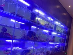 -隆聚时令海鲜(一舟店)