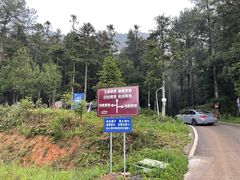 -重庆睡佛山森林公园