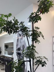 -HaLo hair studio