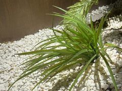 -湘邻呷铺·田园家宴(汉基广场店)