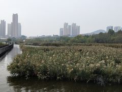 -前关湿地公园