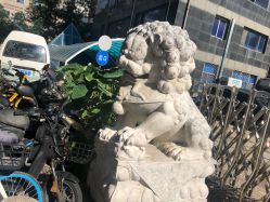 -欧扬医疗美容