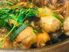 -芳村榕树头叹佬鸡煲(体育西店)