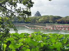 -金鸡湖桃花岛