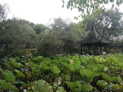 -上海醉白池公园
