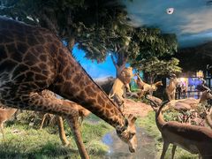 -国家自然博物馆