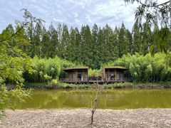 -黄海国家森林公园