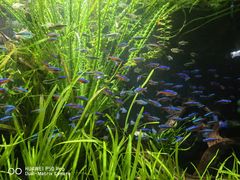 -上海海洋水族馆
