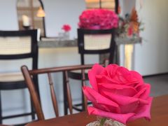 -餮熹Tipsea法餐(吉大店)