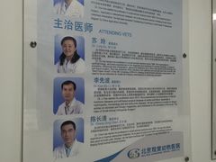 -北京观赏动物医院·24小时大型综合·猫专科·异宠专科
