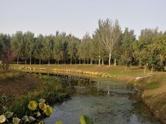 -东郊湿地公园