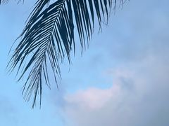 -三亚太阳湾柏悦酒店