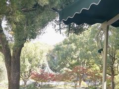 -申粤轩酒楼·三十年粤菜经典(丁香花园店)
