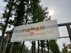 -前小桔亲子创意农场·草莓采摘·露营烧烤