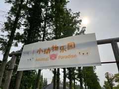 -前小桔亲子创意农场·草莓采摘·露营烧烤