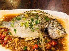 清蒸黄翅鱼-全渔村小海鲜