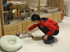 -藏猫猫咖啡主题馆(中央大道店)