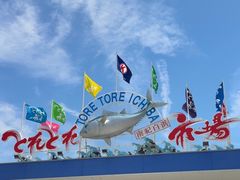 -南纪白浜Toretore市场