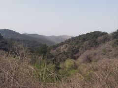 -金龙寺国家森林公园