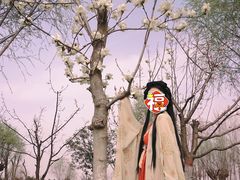 -汉长安城未央宫国家考古遗址公园