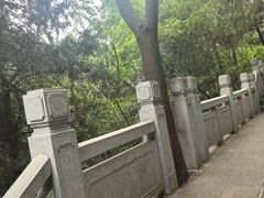 -云龙山