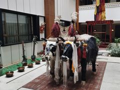 -日喀则乔穆朗宗酒店