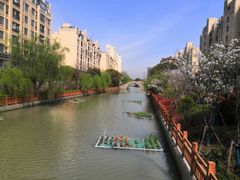 -高东镇樱花园