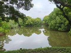 -西溪国家湿地公园