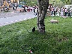 -石台牯牛降景区