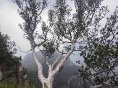 -神农山景区