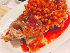 -洋洋中餐馆·SINCE 1997(信投店)