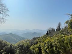 -莫干山风景区